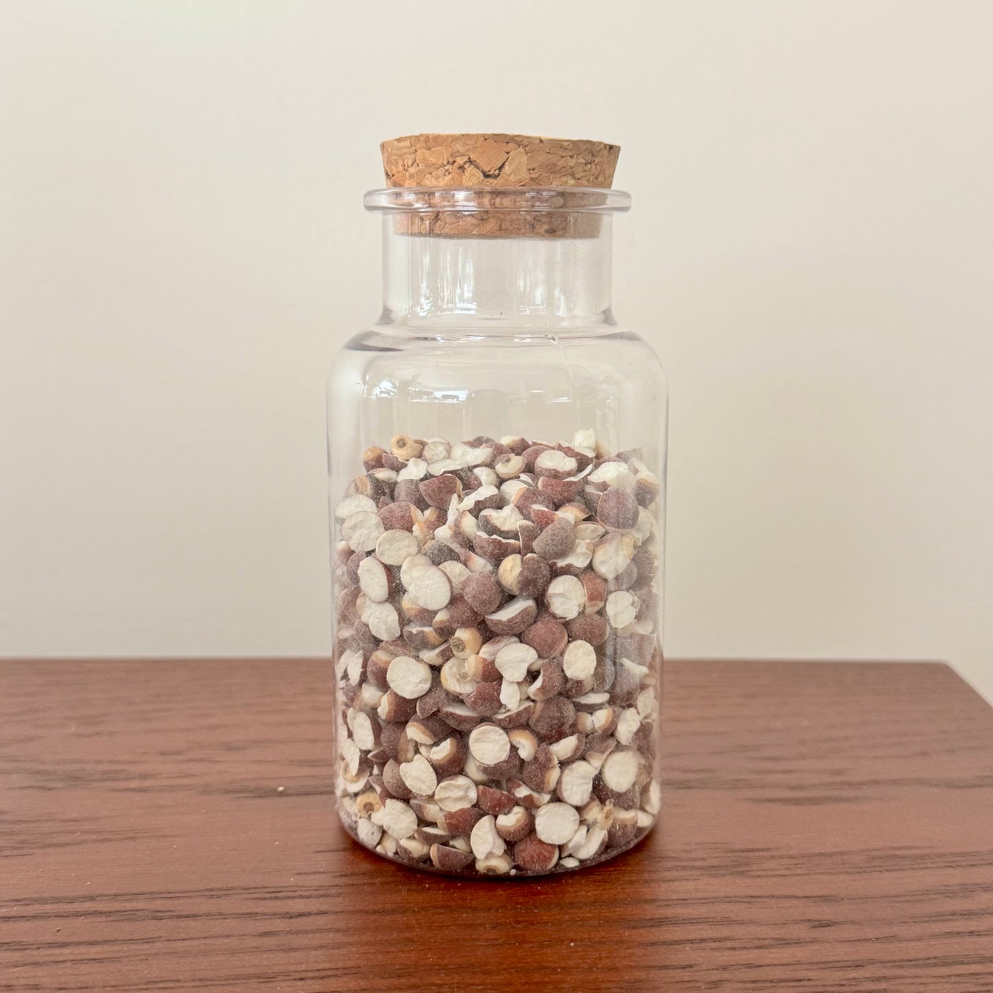 Gorgon Fruit (Fox Nut) — Herbal Craft