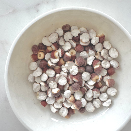 Gorgon Fruit (Fox Nut)