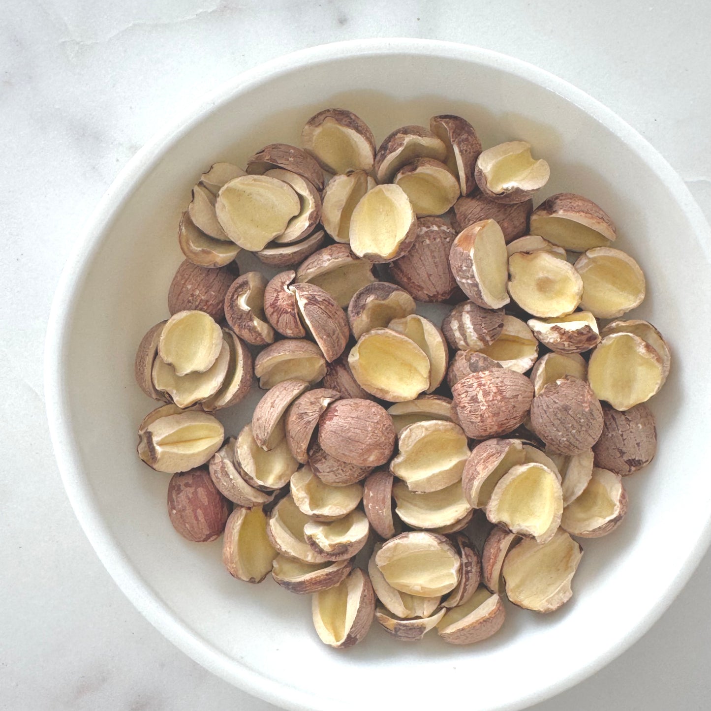 Lotus Seed (Red)