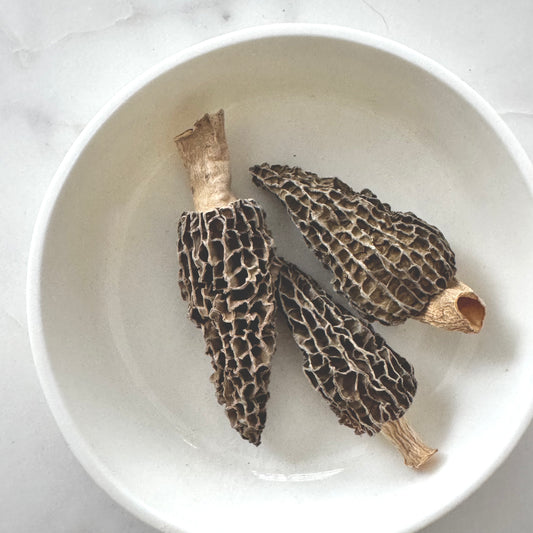 Morel Mushroom