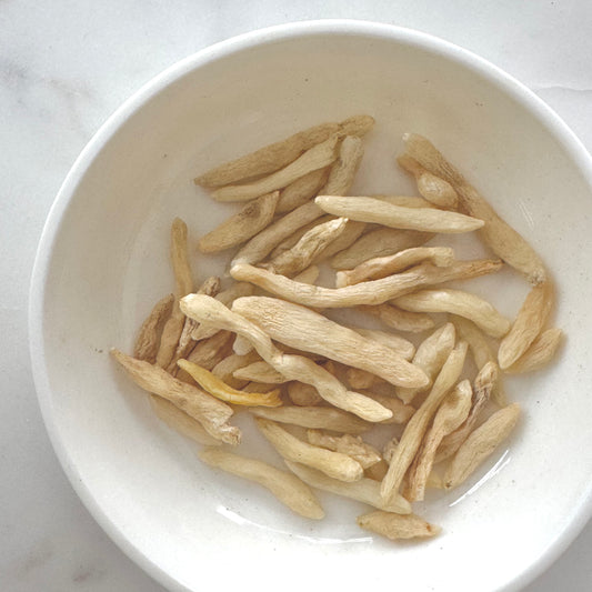 Ophiopogon Root (Dwarf Lilyturf Tubur)