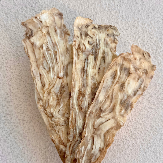 Angelica Root - Herbal Craft