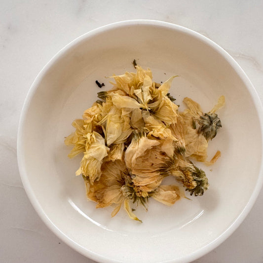 Chrysanthemum - Herbal Craft