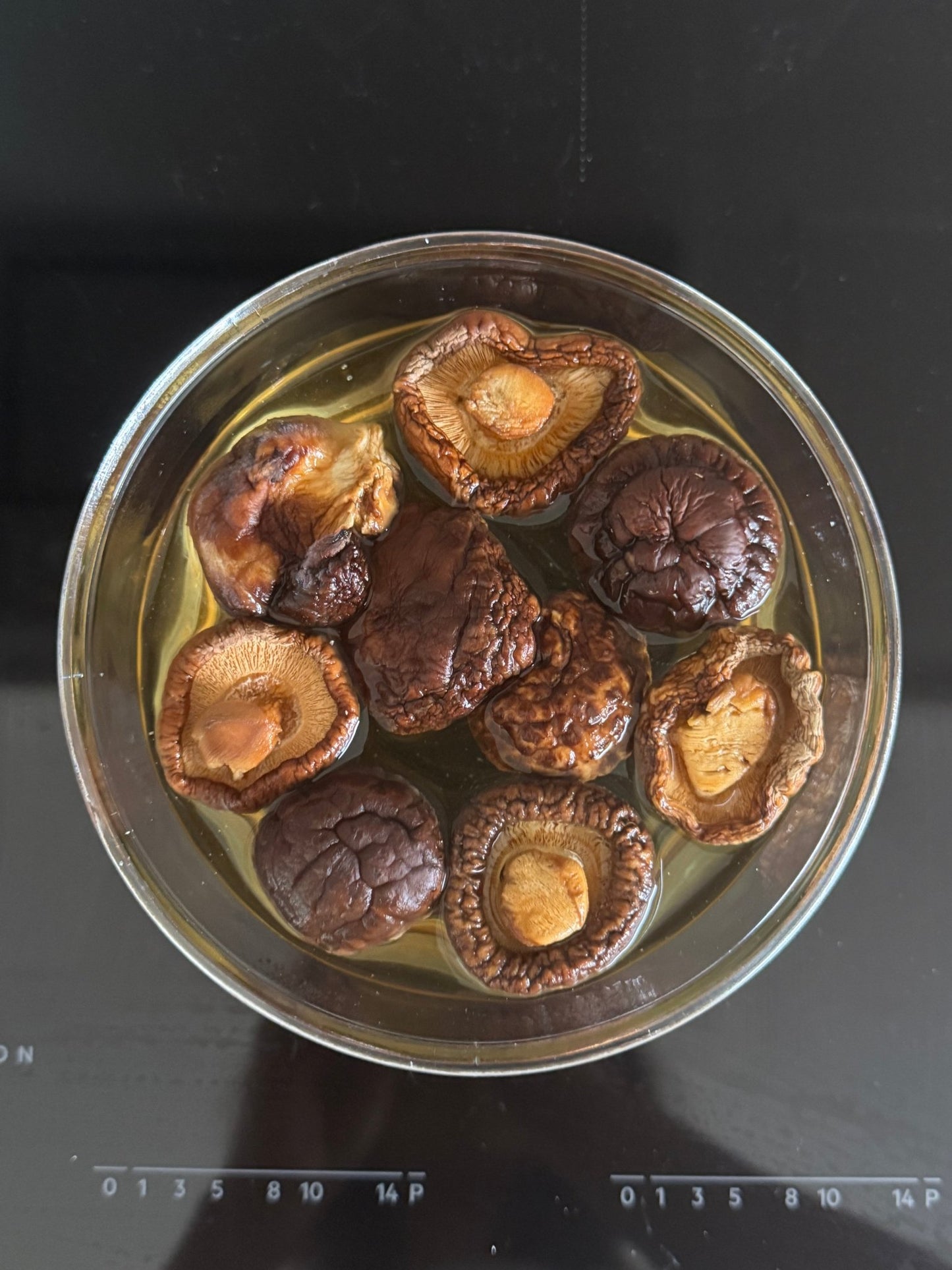 Shiitake Mushroom - Herbal Craft