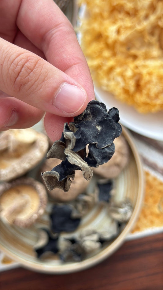 Wood Ear Mushroom (Black Fungus) - Herbal Craft