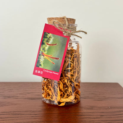 Cordyceps Flower