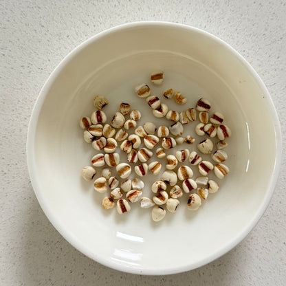 Coix Seed (Job’s Tears)