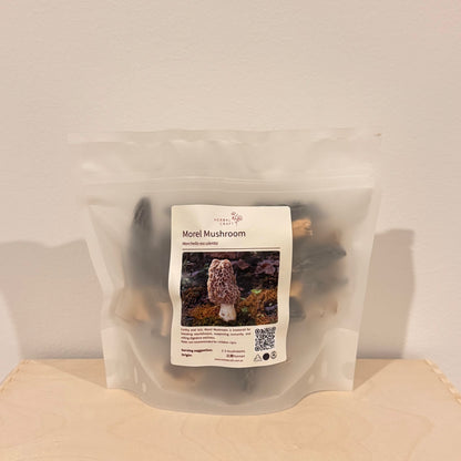 Morel Mushroom