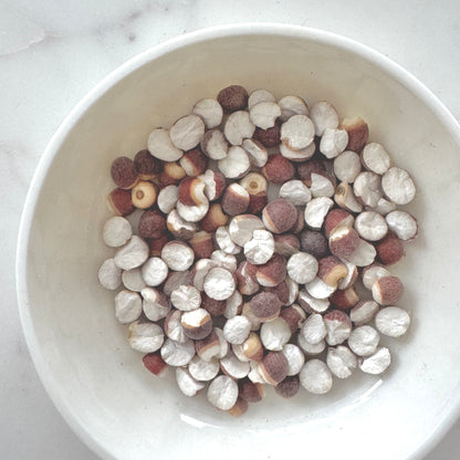 Gorgon Fruit (Fox Nut)