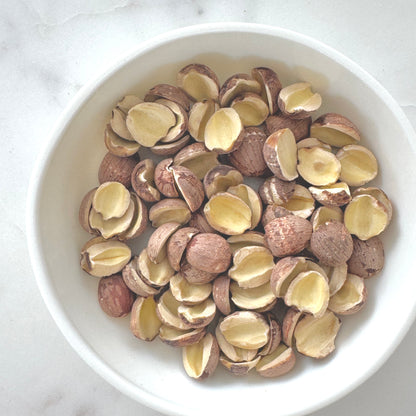 Lotus Seed (Red)