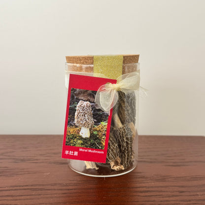 Morel Mushroom