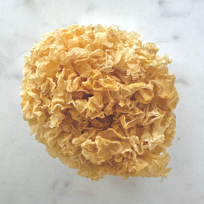 Tremella Mushroom (Snow Fungus)