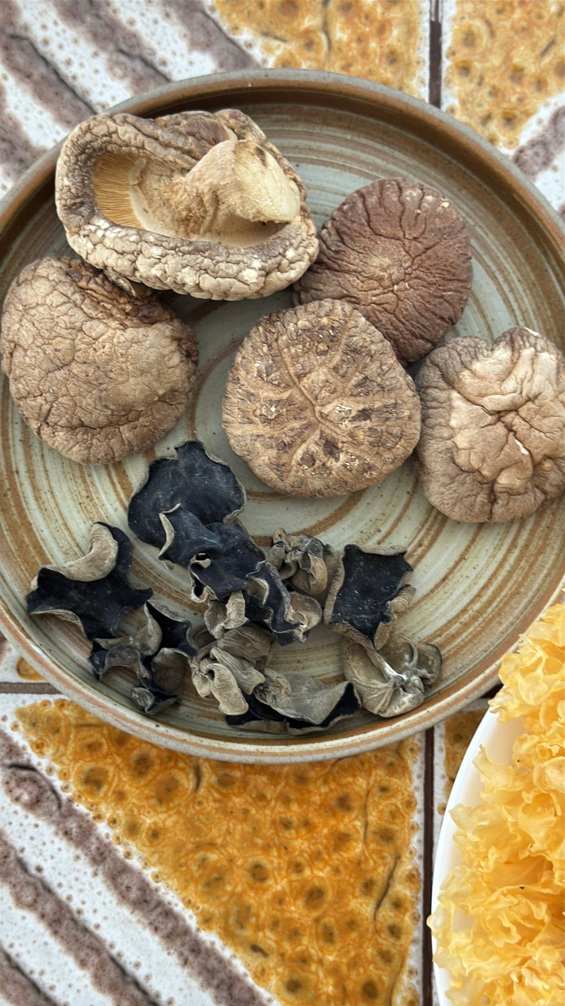 All About Shrooms Bundle - Herbal Craft