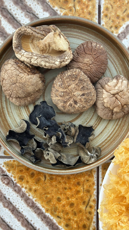 All About Shrooms Bundle - Herbal Craft