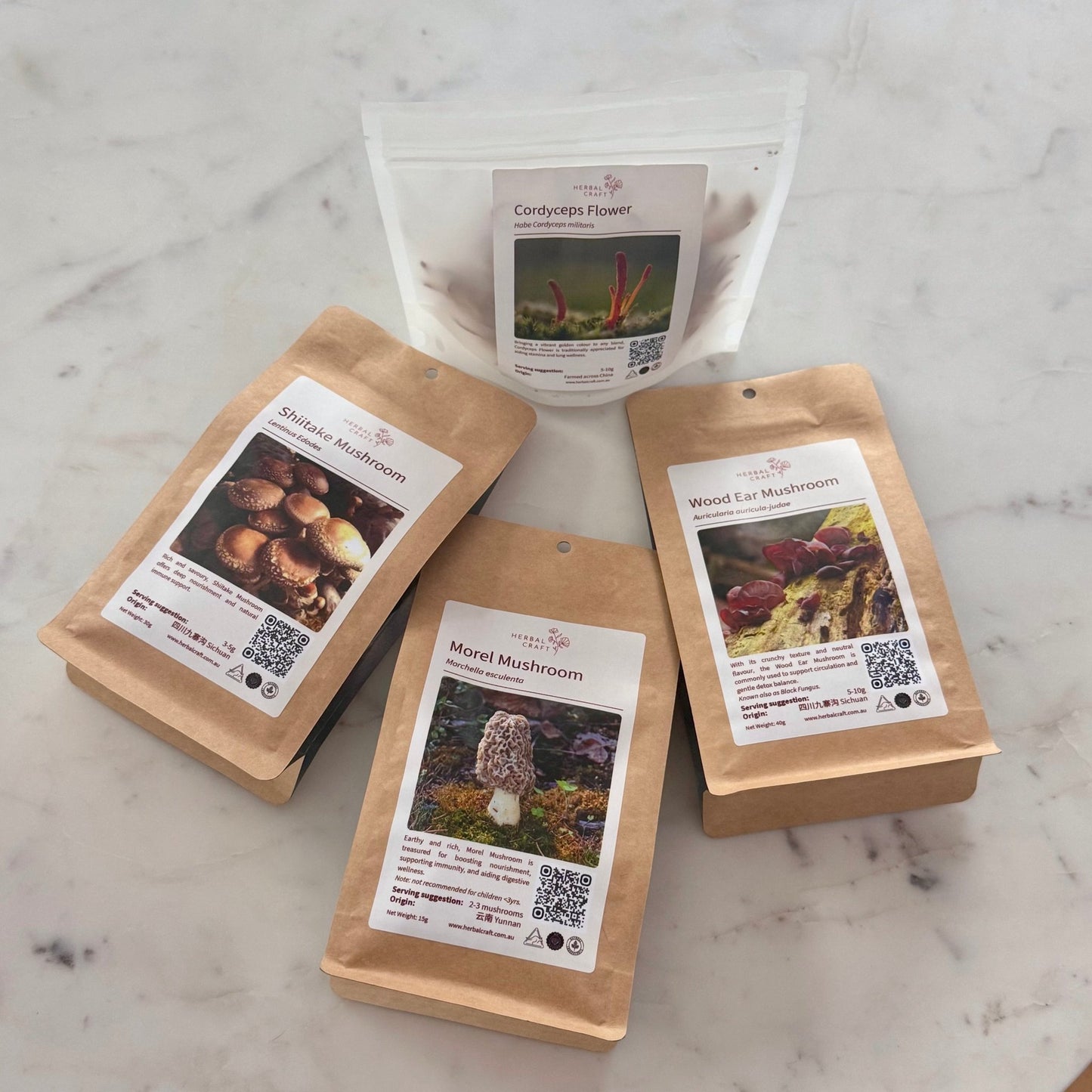 All About Shrooms Bundle - Herbal Craft