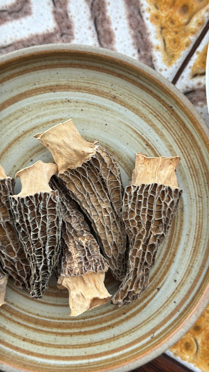 All About Shrooms Bundle - Herbal Craft
