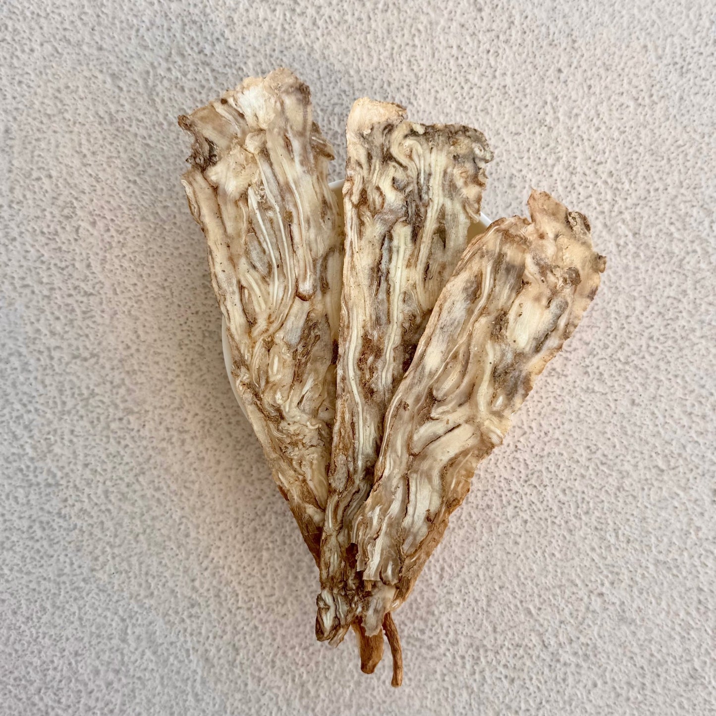 Angelica Root - Herbal Craft