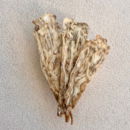 Angelica Root - Herbal Craft