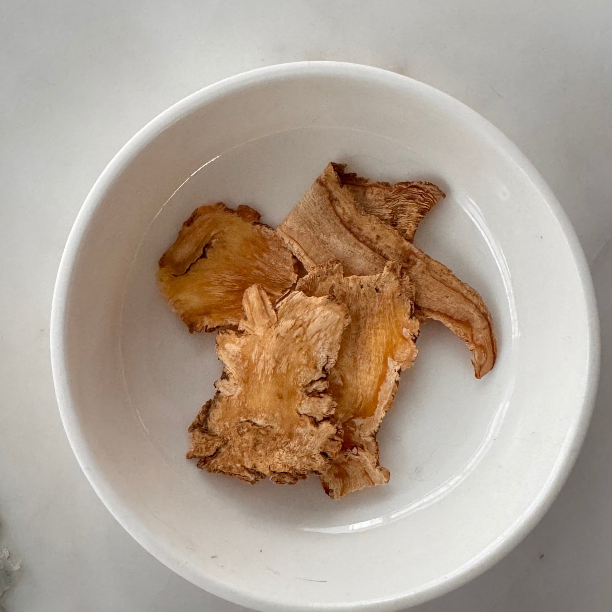 Angelica Root - Herbal Craft