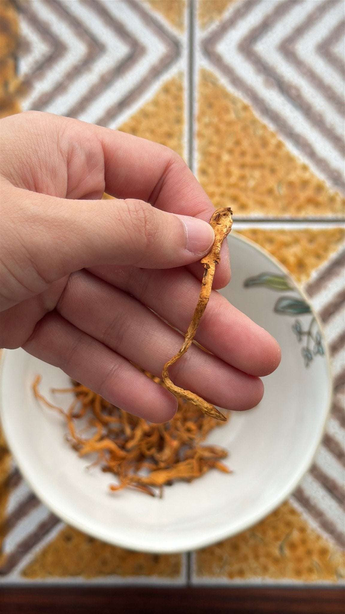 Cordyceps Flower - Herbal Craft