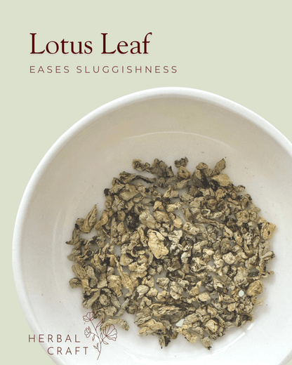 Digest Brew - Tea Blend - Herbal Craft