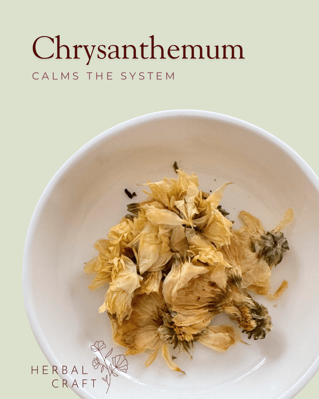 Digest Brew - Tea Blend - Herbal Craft