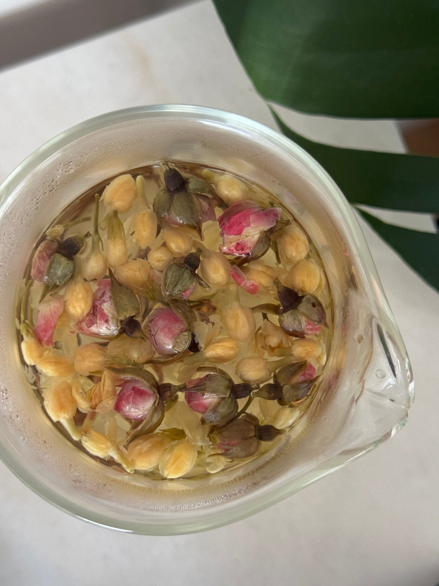 Jasmine Flower - Herbal Craft