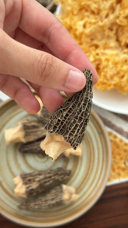 Morel Mushroom - Herbal Craft