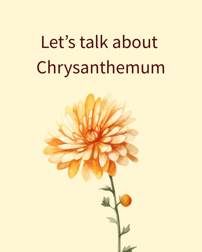Royal Chrysanthemum - Herbal Craft