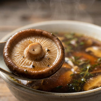 Shiitake Mushroom - Herbal Craft