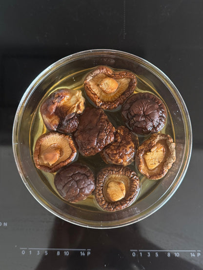 Shiitake Mushroom - Herbal Craft