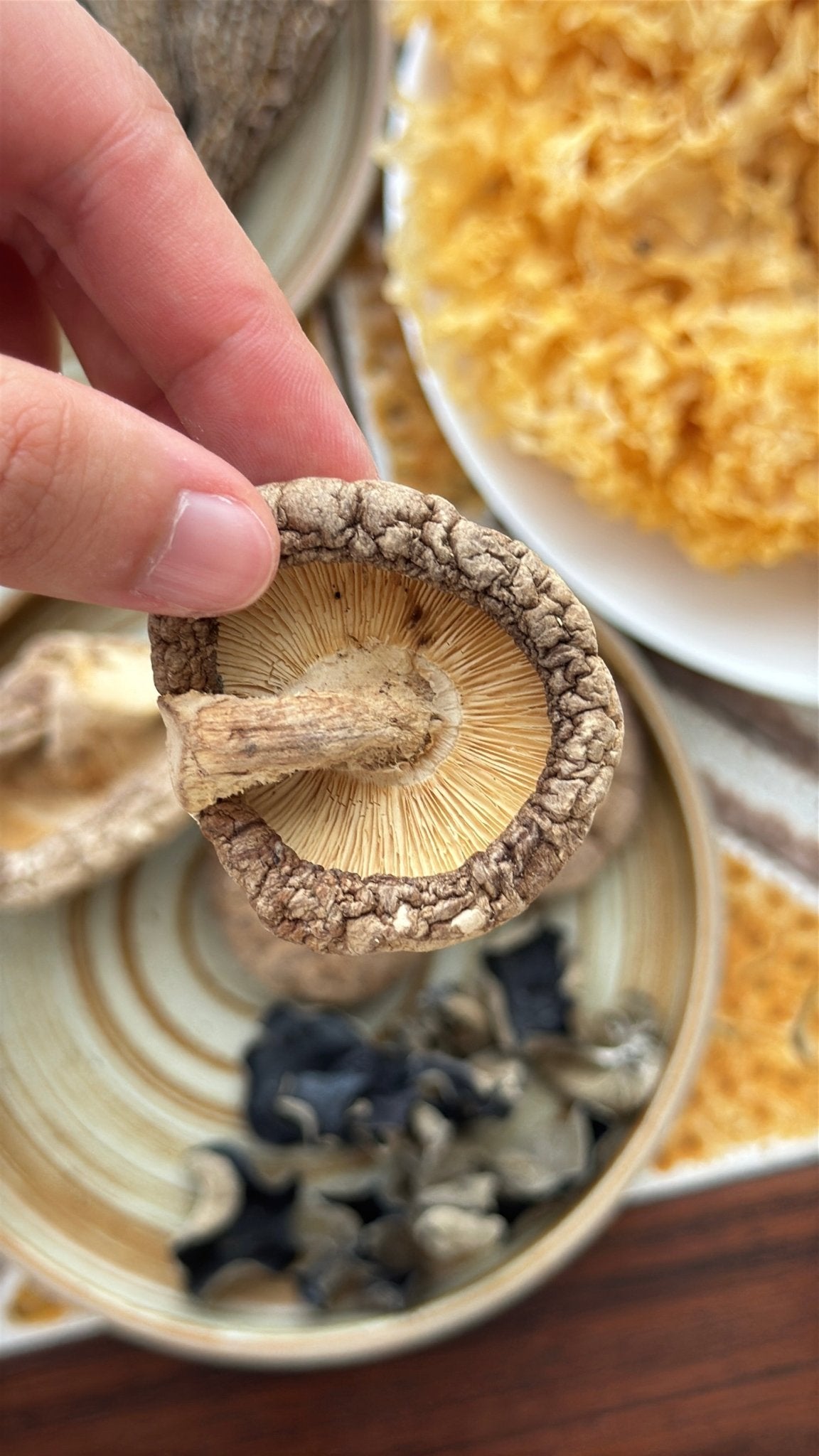 Shiitake Mushroom - Herbal Craft