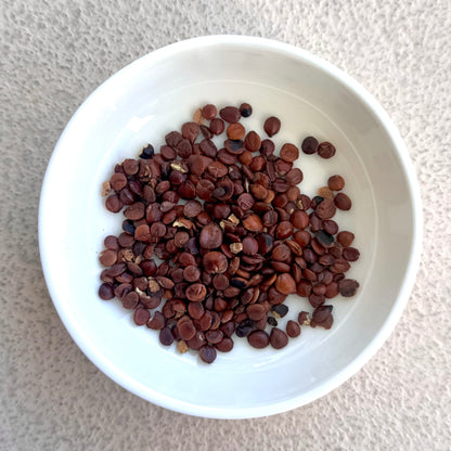 Sour Jujube Seed (Toasted) - Herbal Craft