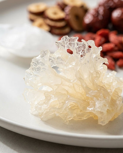 Tremella Mushroom (Snow Fungus) - Herbal Craft