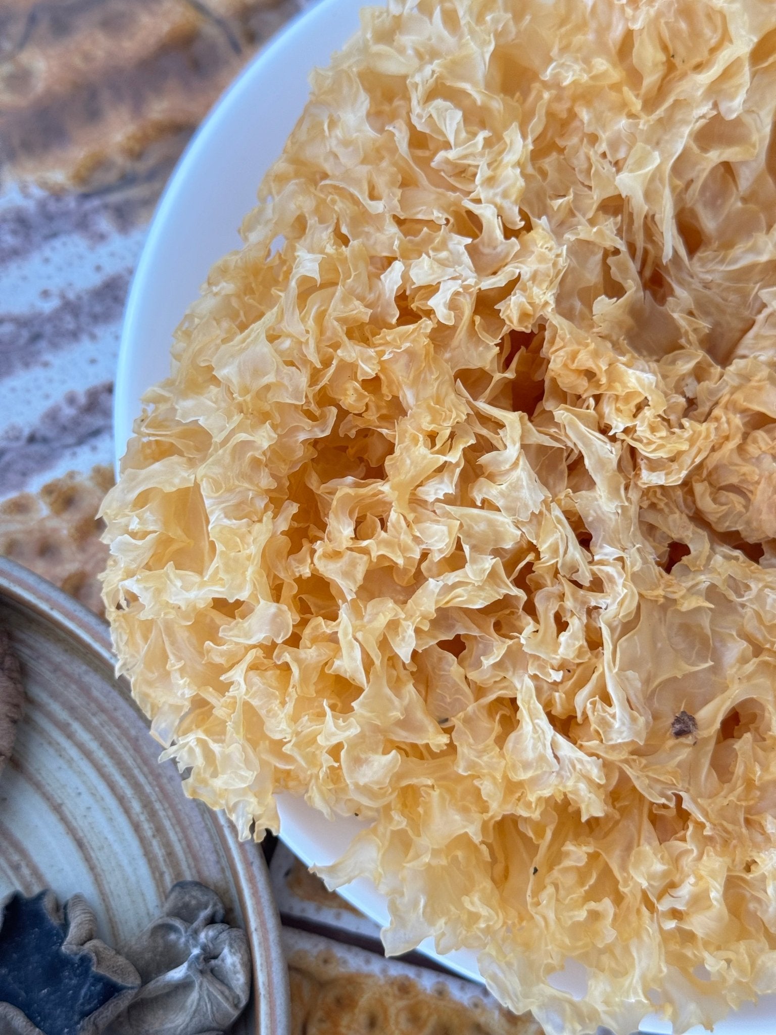 Tremella Mushroom (Snow Fungus) - Herbal Craft